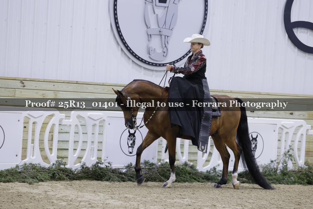 Proof Number 25R13_01401