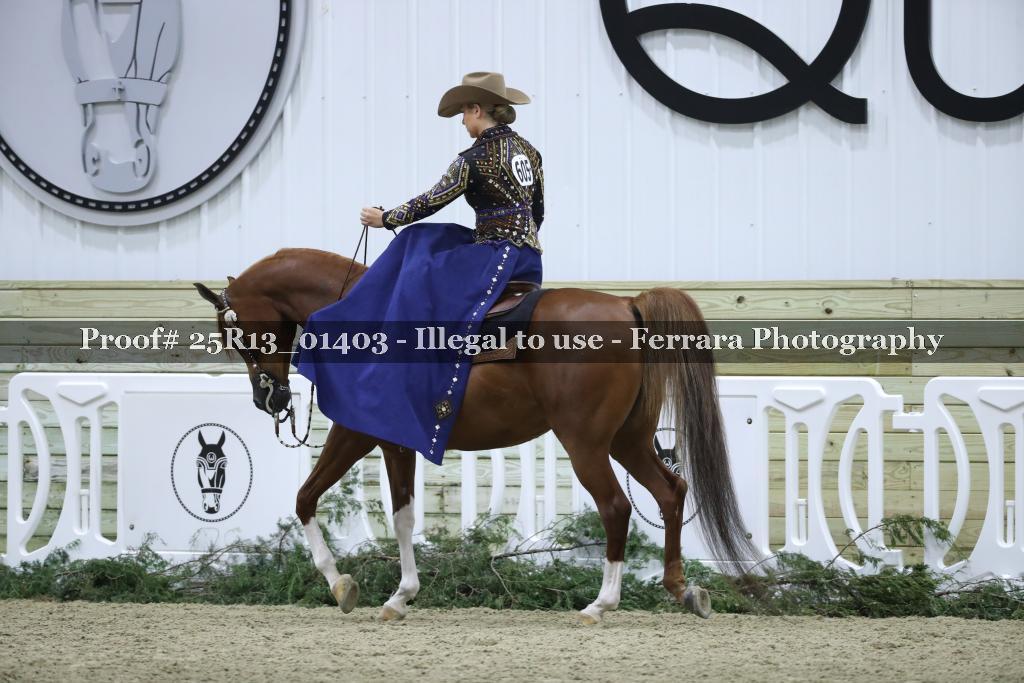 Proof Number 25R13_01403