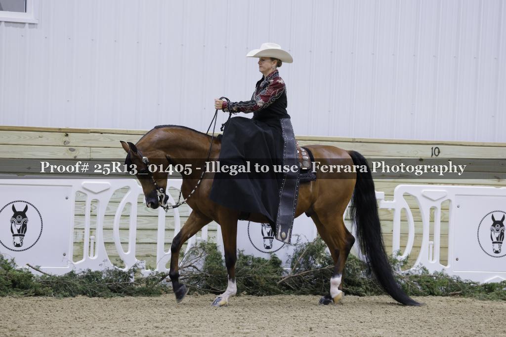 Proof Number 25R13_01405