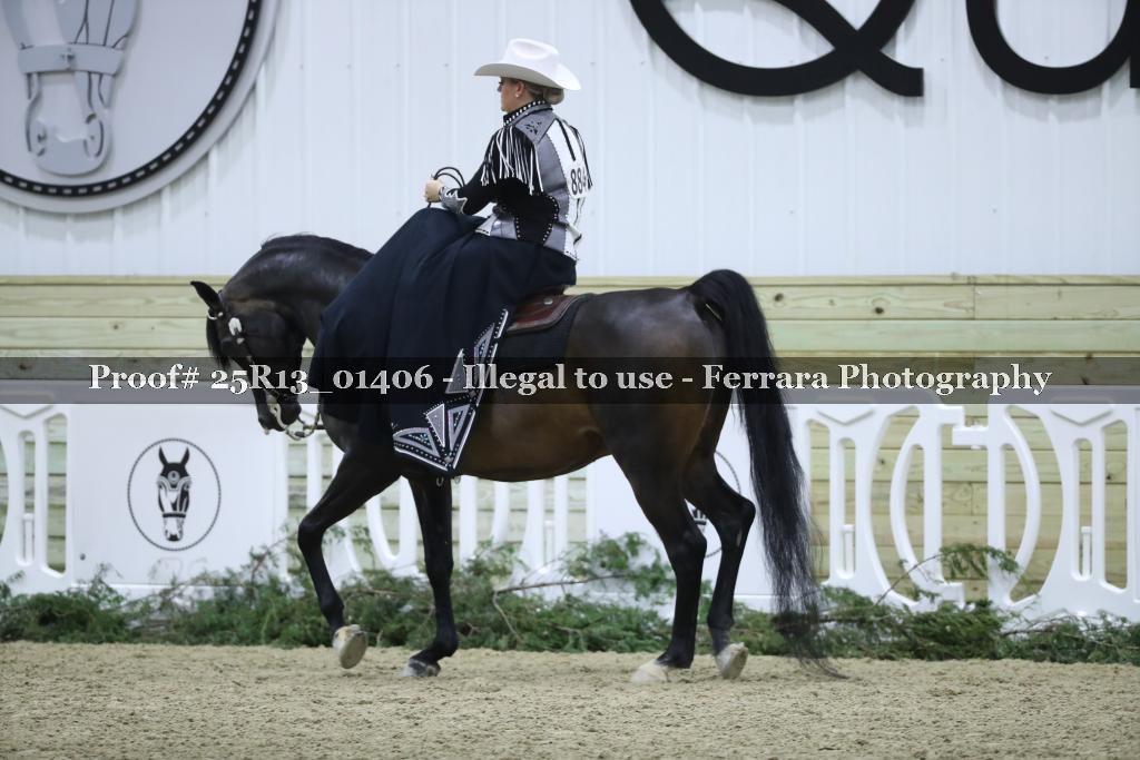 Proof Number 25R13_01406