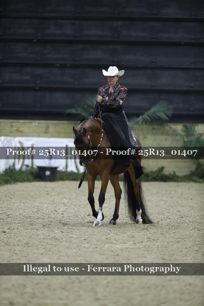 Proof Number 25R13_01407
