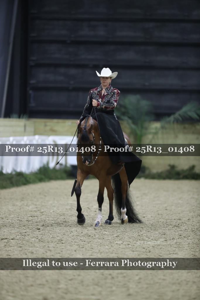Proof Number 25R13_01408