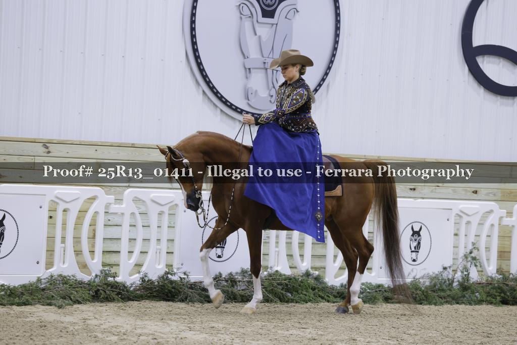 Proof Number 25R13_01411