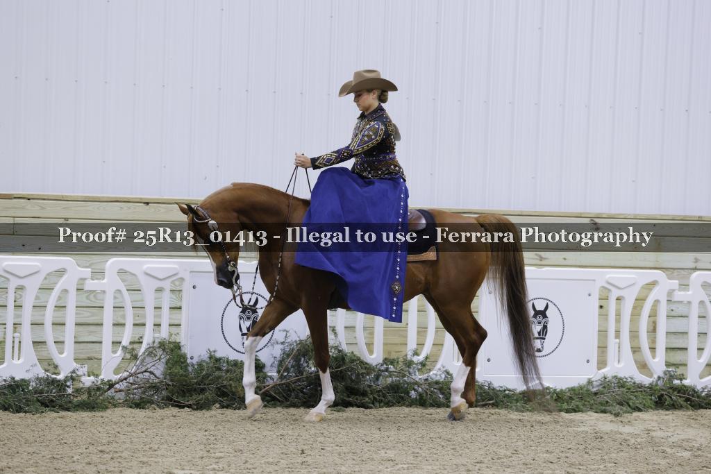 Proof Number 25R13_01413