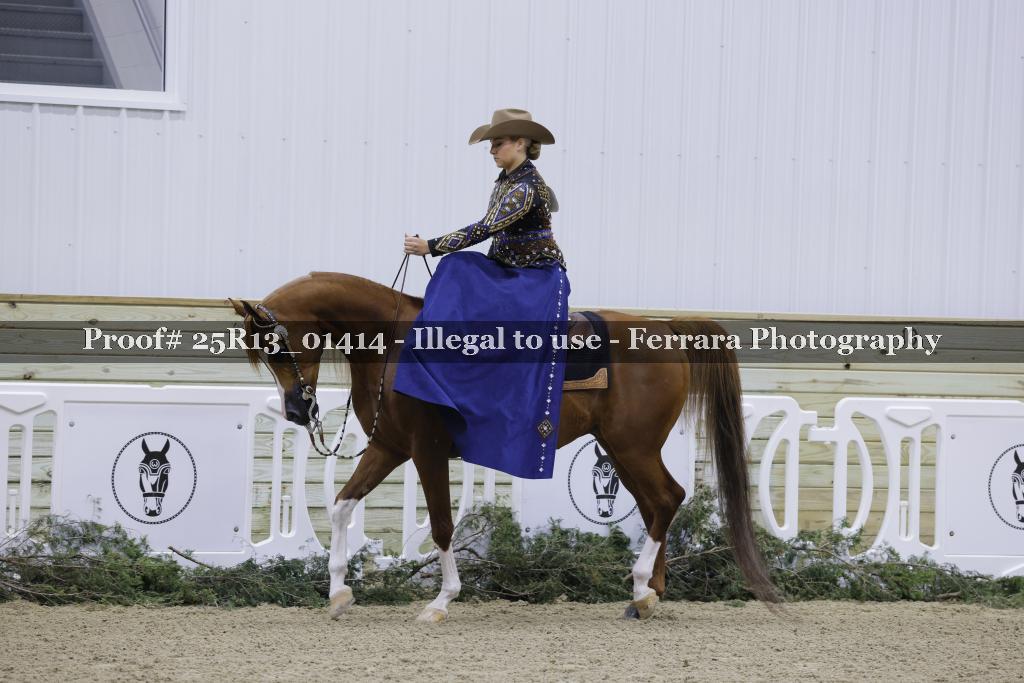 Proof Number 25R13_01414