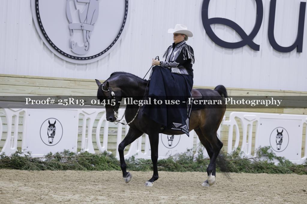 Proof Number 25R13_01415