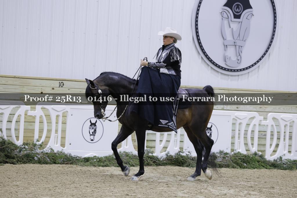 Proof Number 25R13_01416