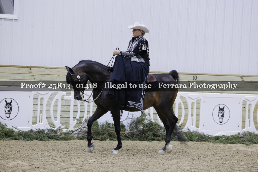 Proof Number 25R13_01418