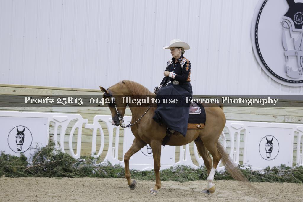Proof Number 25R13_01421