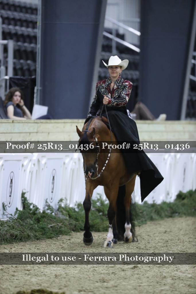Proof Number 25R13_01436