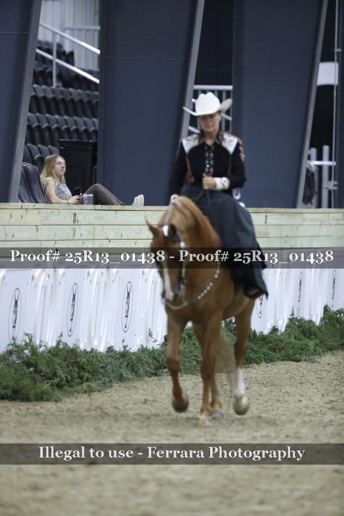 Proof Number 25R13_01438