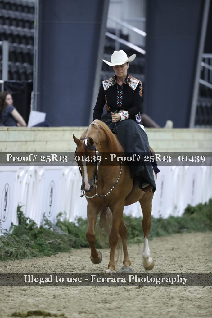 Proof Number 25R13_01439