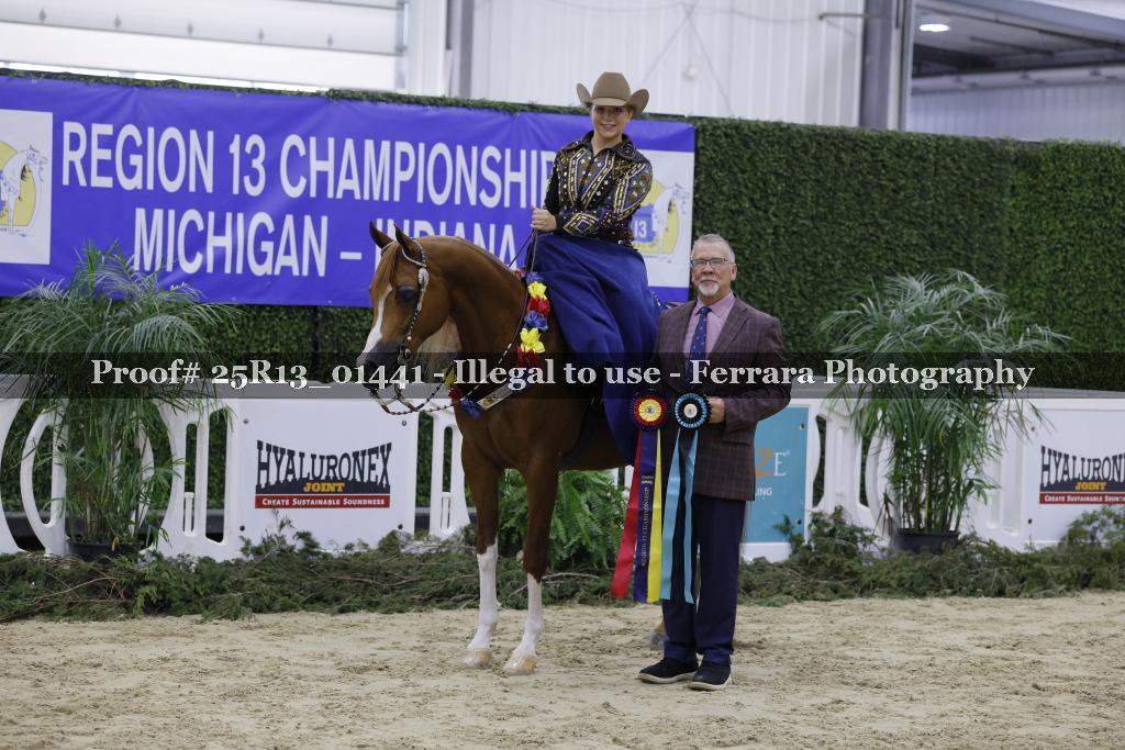 Proof Number 25R13_01441
