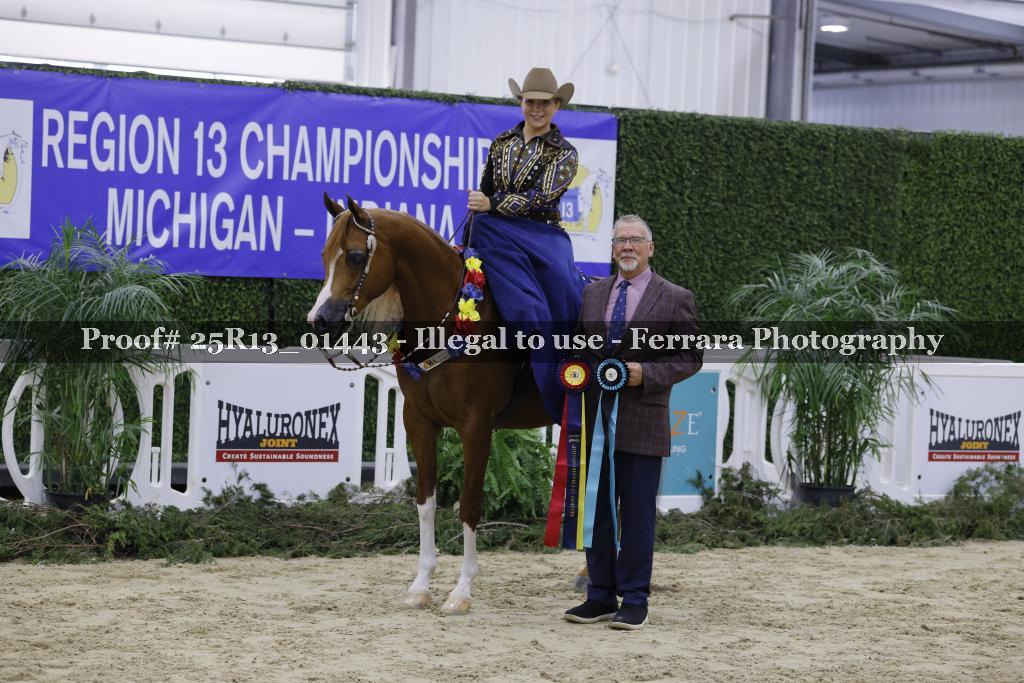 Proof Number 25R13_01443
