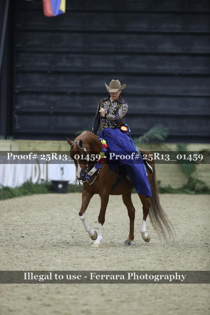 Proof Number 25R13_01459