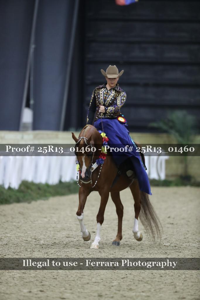 Proof Number 25R13_01460