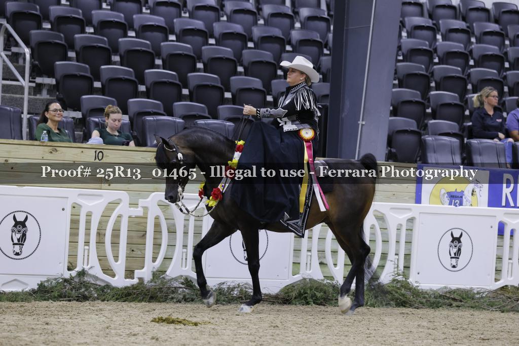 Proof Number 25R13_01465