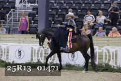 25R13_01471 thumbnail