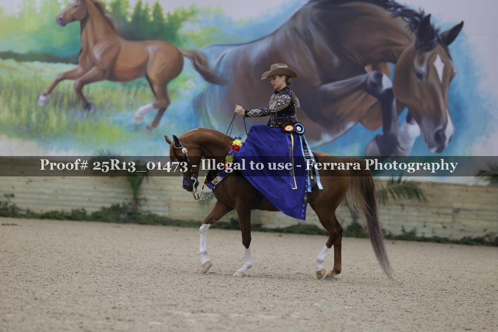 Proof Number 25R13_01473
