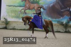 25R13_01474 thumbnail