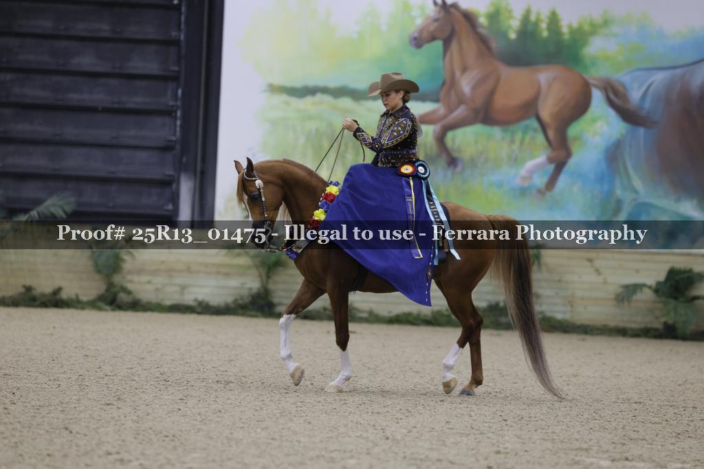Proof Number 25R13_01475