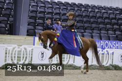 25R13_01480 thumbnail