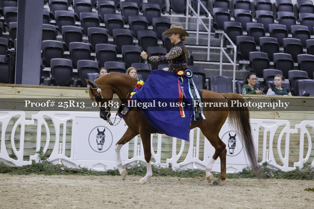Proof Number 25R13_01483