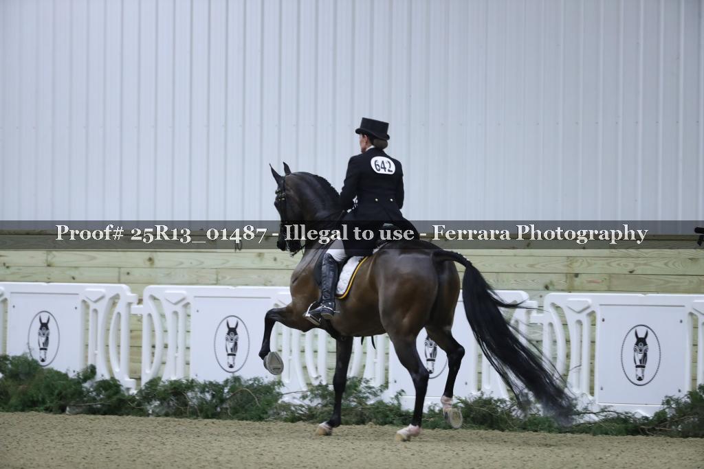 Proof Number 25R13_01487