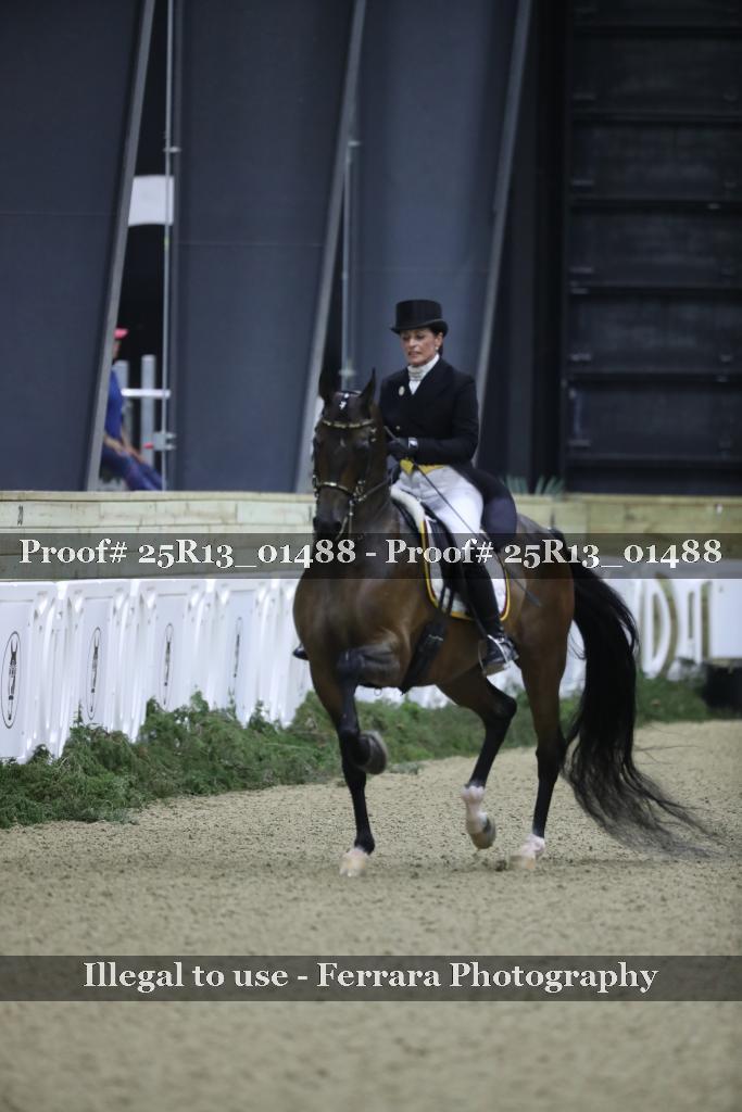 Proof Number 25R13_01488