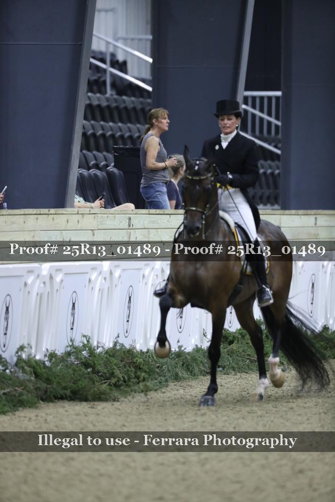 Proof Number 25R13_01489