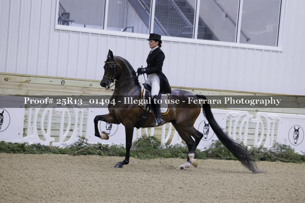 Proof Number 25R13_01494
