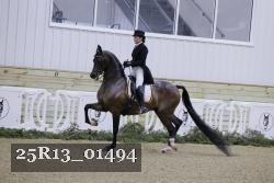 25R13_01494 thumbnail