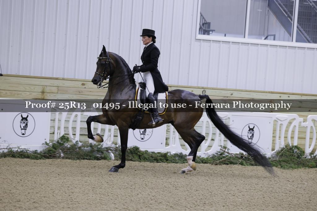 Proof Number 25R13_01495