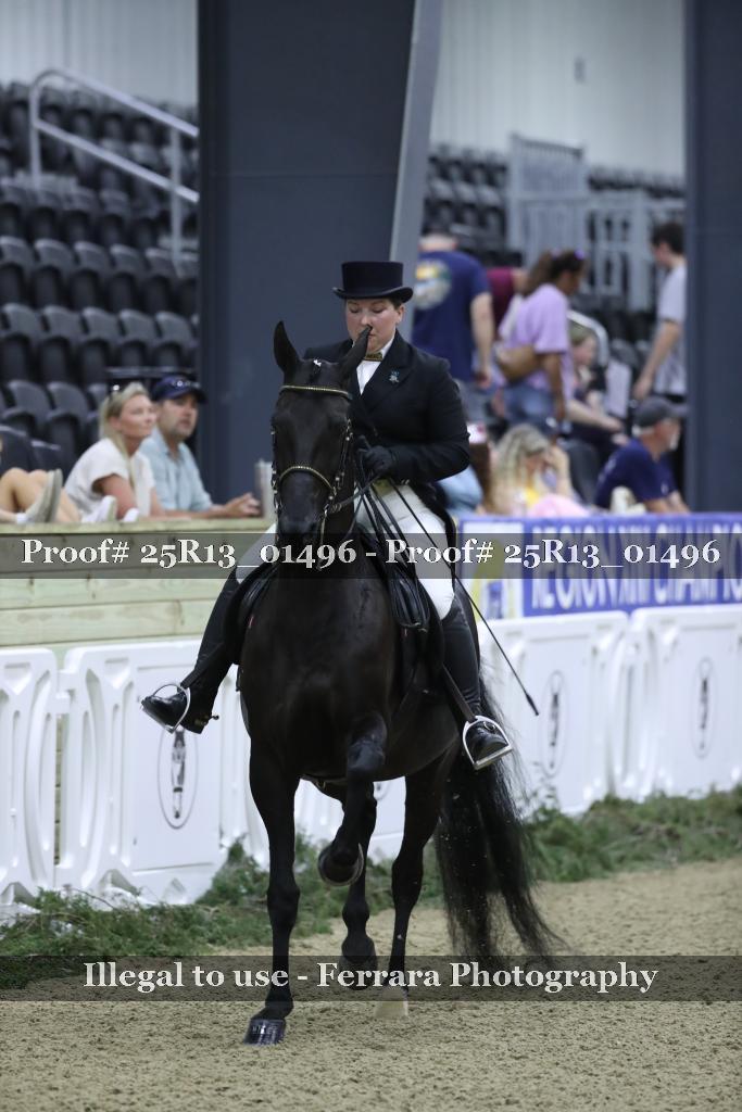 Proof Number 25R13_01496