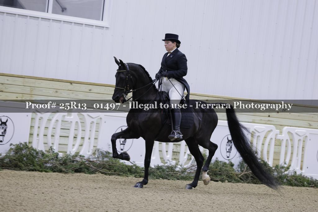 Proof Number 25R13_01497