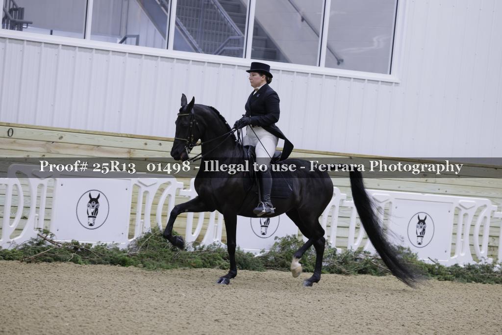 Proof Number 25R13_01498