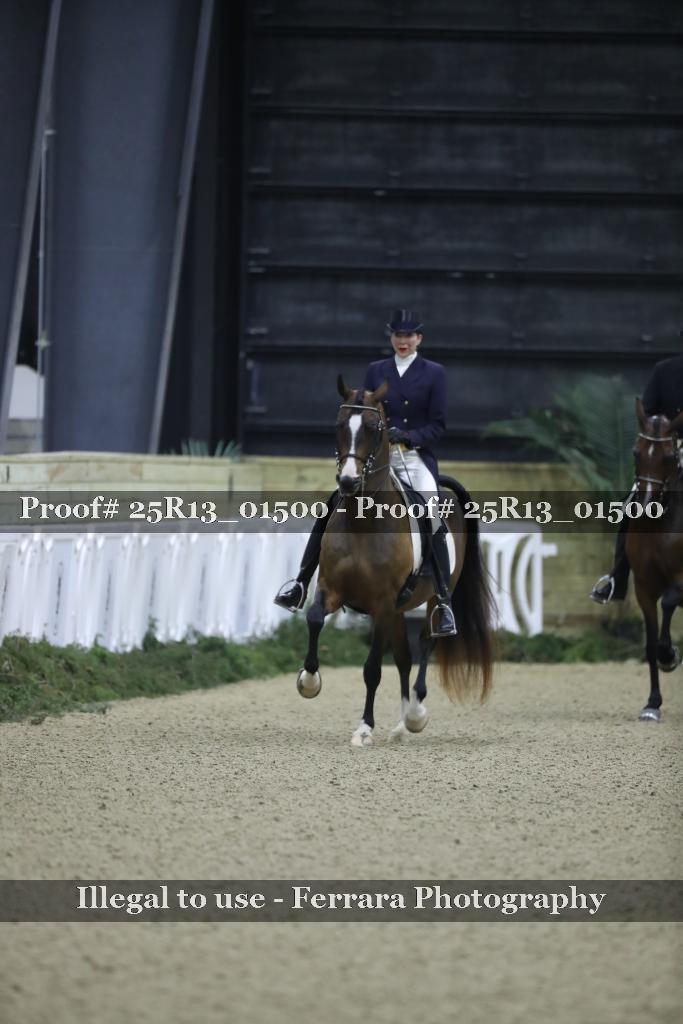 Proof Number 25R13_01500