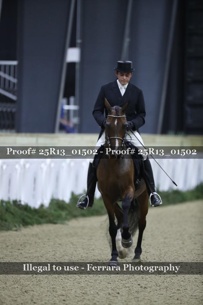 Proof Number 25R13_01502