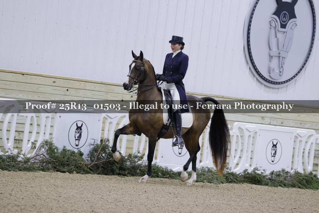 Proof Number 25R13_01503