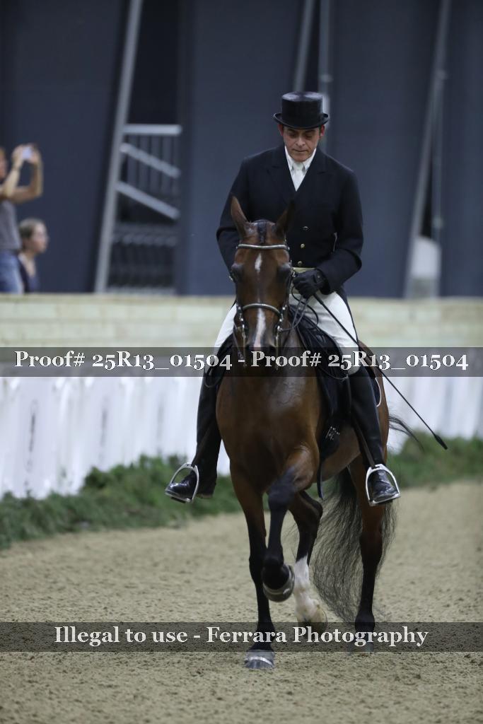 Proof Number 25R13_01504