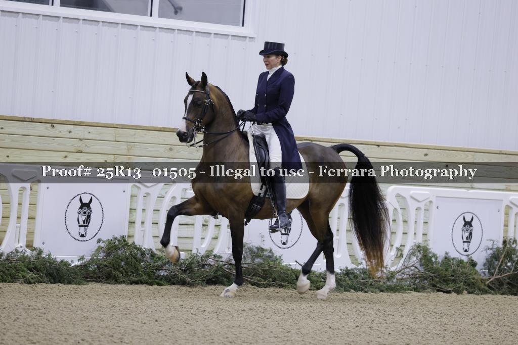 Proof Number 25R13_01505