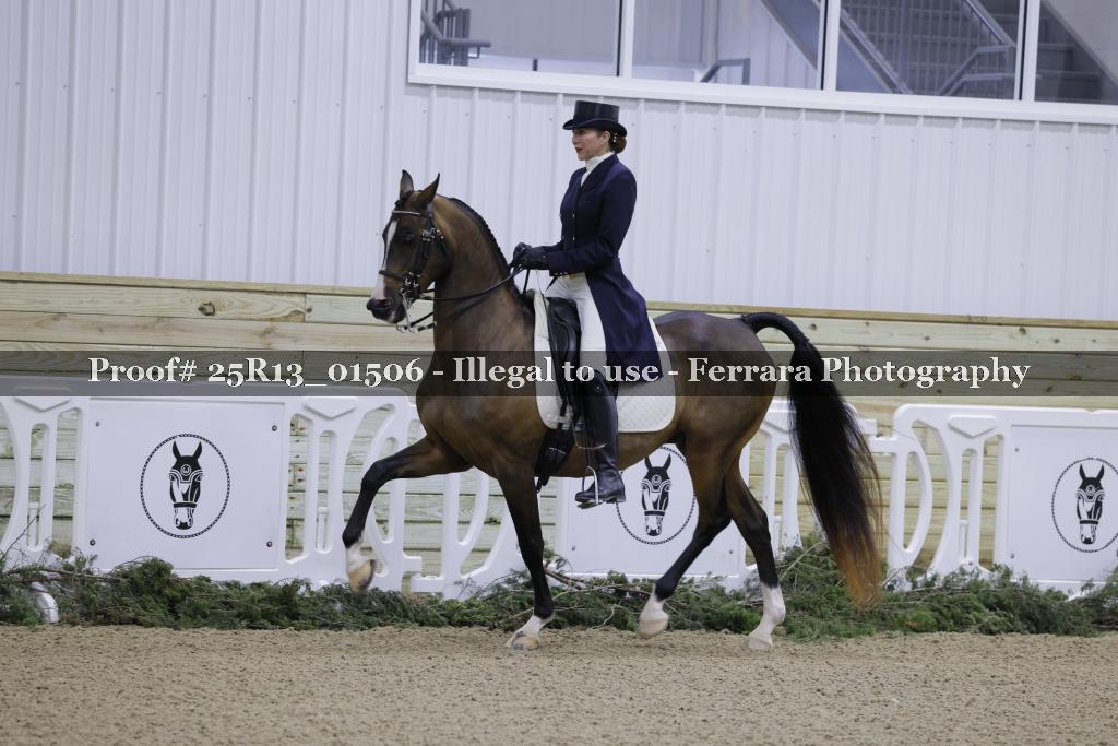 Proof Number 25R13_01506