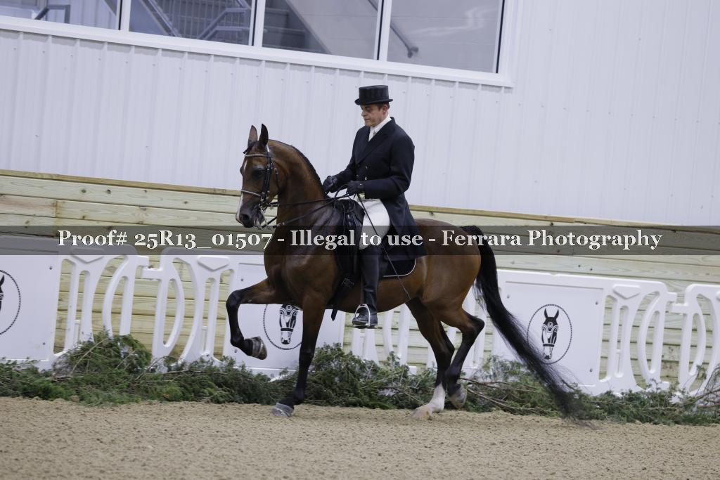 Proof Number 25R13_01507