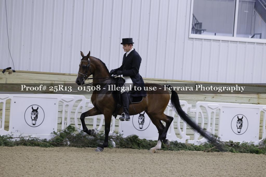 Proof Number 25R13_01508