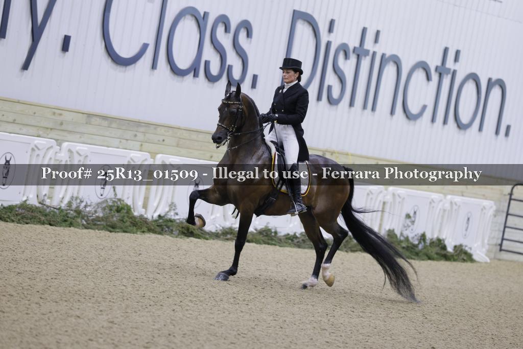 Proof Number 25R13_01509