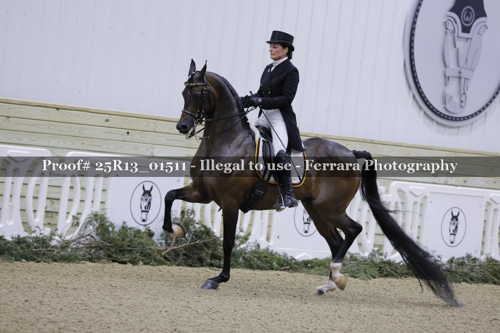 Proof Number 25R13_01511