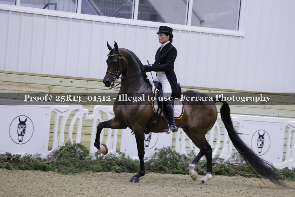 Proof Number 25R13_01512