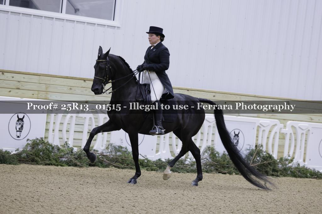 Proof Number 25R13_01515