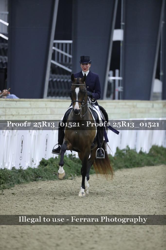 Proof Number 25R13_01521