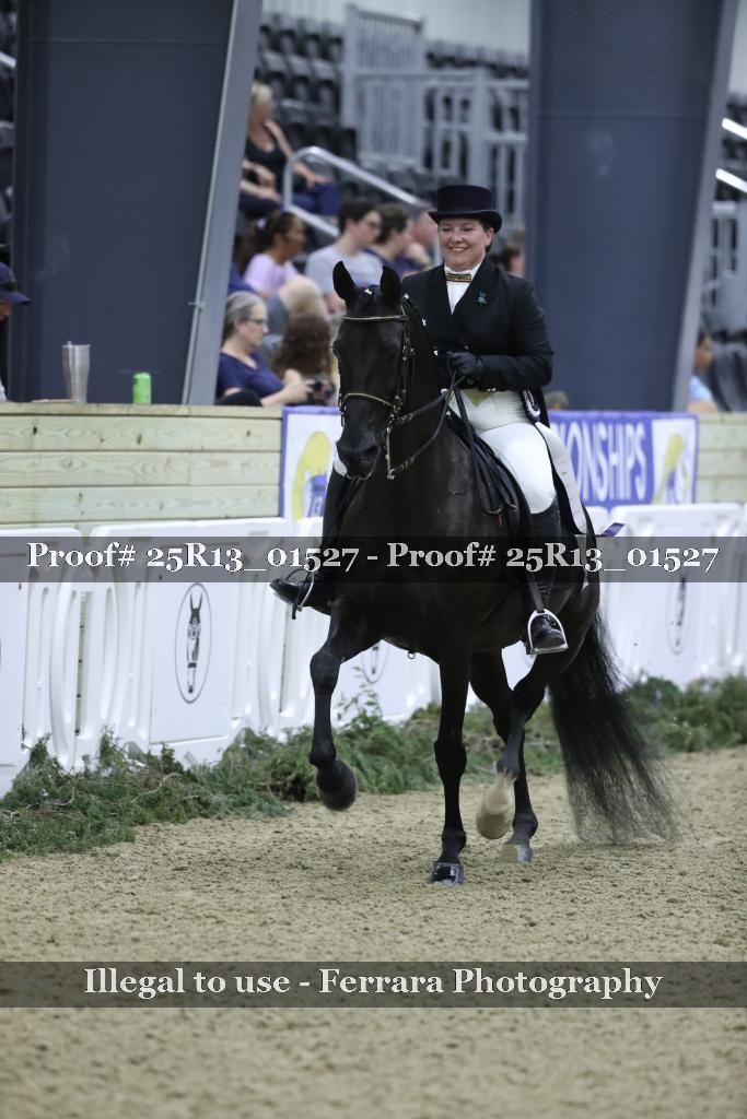 Proof Number 25R13_01527